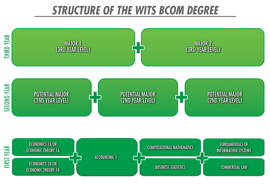 Structure of the Wits BCom