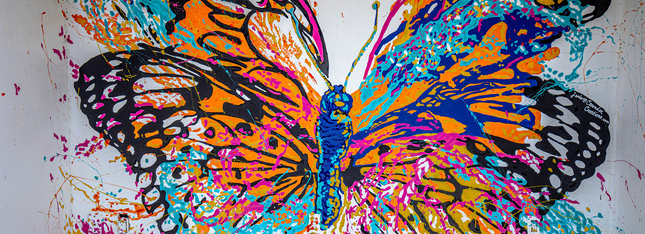 Butterfly painted on wall Photo by Martin Ferreira on Unsplash