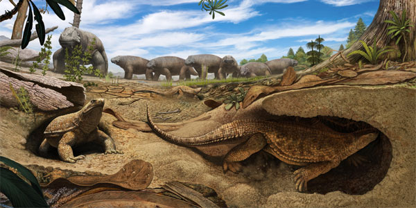 An artistic rendering shows an early proto-turtle Eunotosaurus (foreground) burrowing into the banks of a dried-up pond to escape the harsh arid environment present 260 million years ago in South Africa. In the background, a herd of Bradysaurus congregates around the remaining muddy water. (Artwork by Andrey Atuchin) 