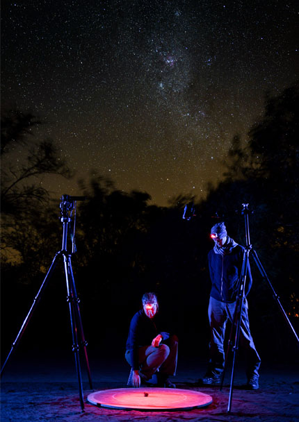 Dung beetles navigating the night sky | Curiosity 14: #Wits100 © https://www.wits.ac.za/curiosity/
