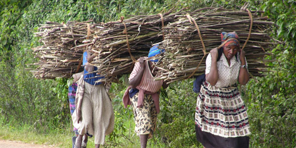 Women carrying firewood | Curiosity 15: #Energy © https://www.wits.ac.za/curiosity/