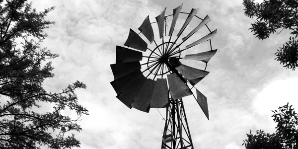 The windmill, iconic symbol of South Africa's Karoo. ©WitsUniversity