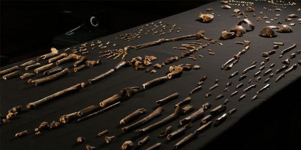 Homo naledi discovery  | © WITS UNIVERSITY