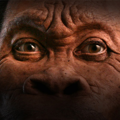 Homo naledi - the story so far.