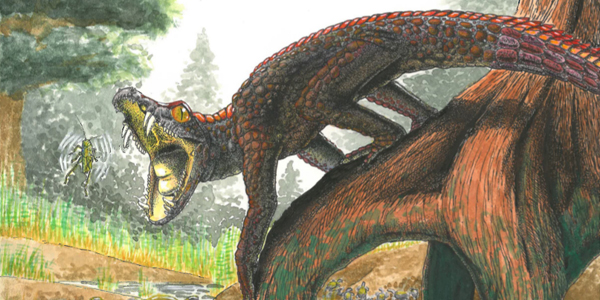 Reconstruction of Shartegosuchus. Artist: Viktor Rademacher