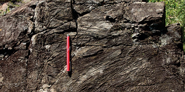 Unique texture of komatiite lava flows from the Barberton greenstone belt. The highly elongate crystals of olivine formed at an eruption temperature of over 1600°C – over 300 degrees hotter than current day lavas on Hawaii.