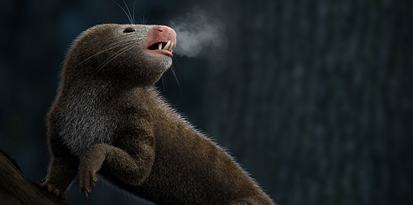 A warm-blooded mammal ancestor breathing out hot hair in a frigid night. © Luzia Soares