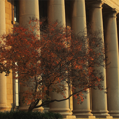 Wits buildings
