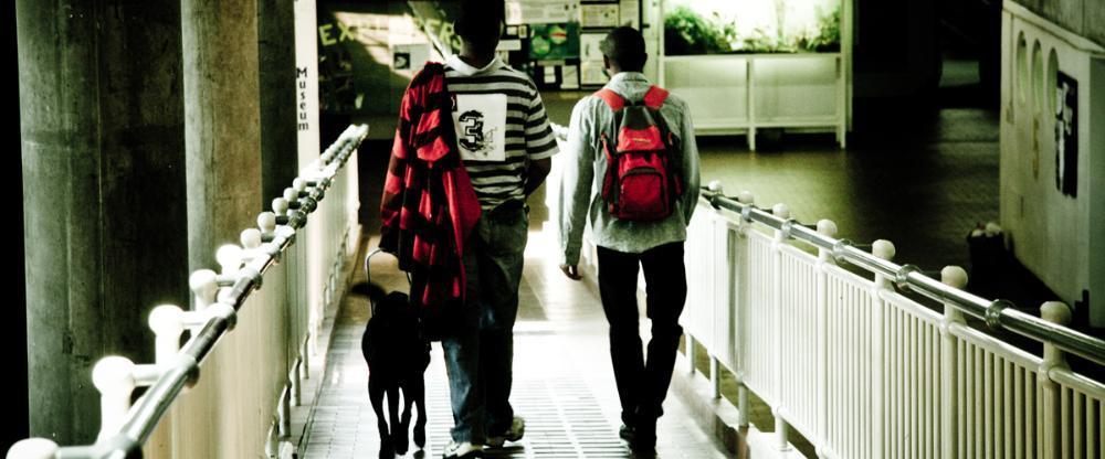 Students and guide dog on Wits Campus