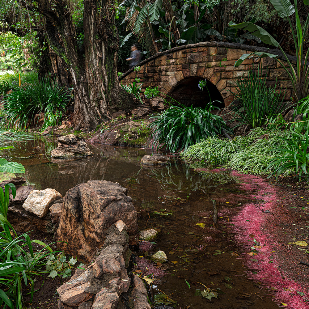 Wits, Image: Brett Eloff