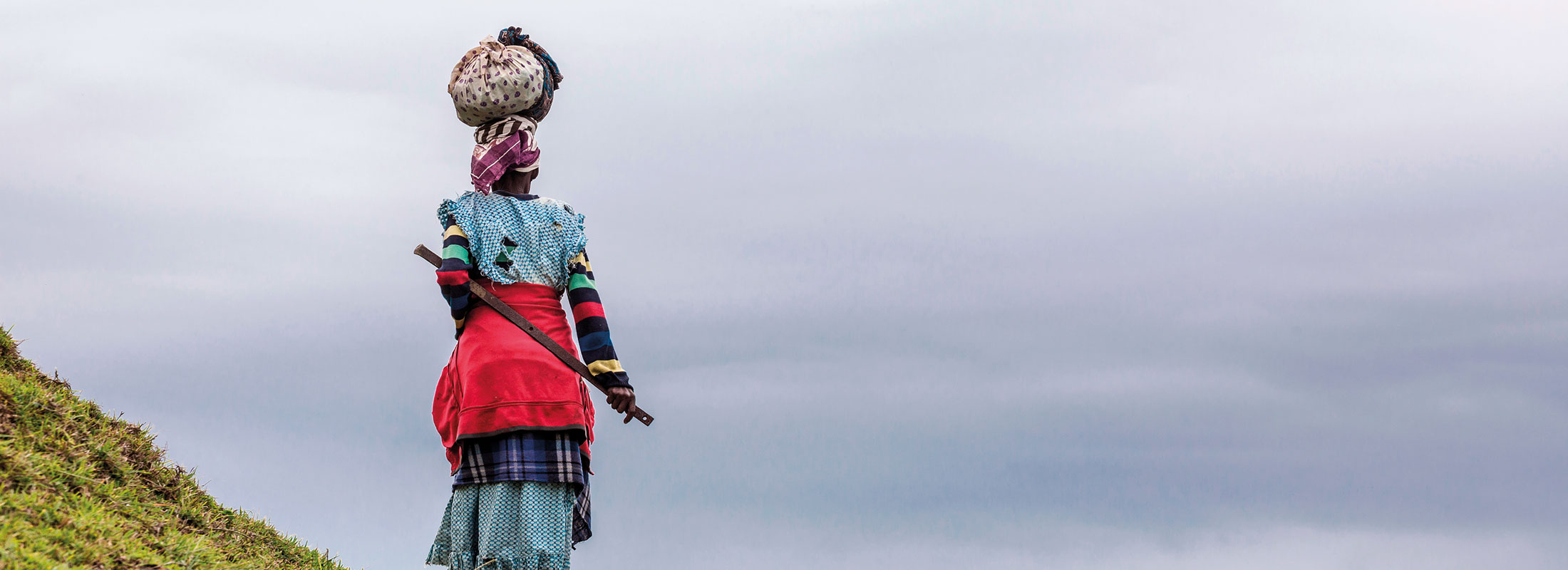 Witsies For Good, Image:Adobe Stock