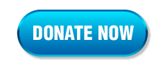 Donate now button