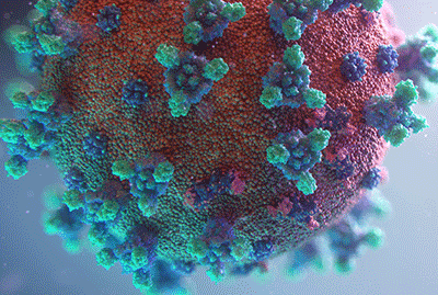 Image:Fusion Medical Animation