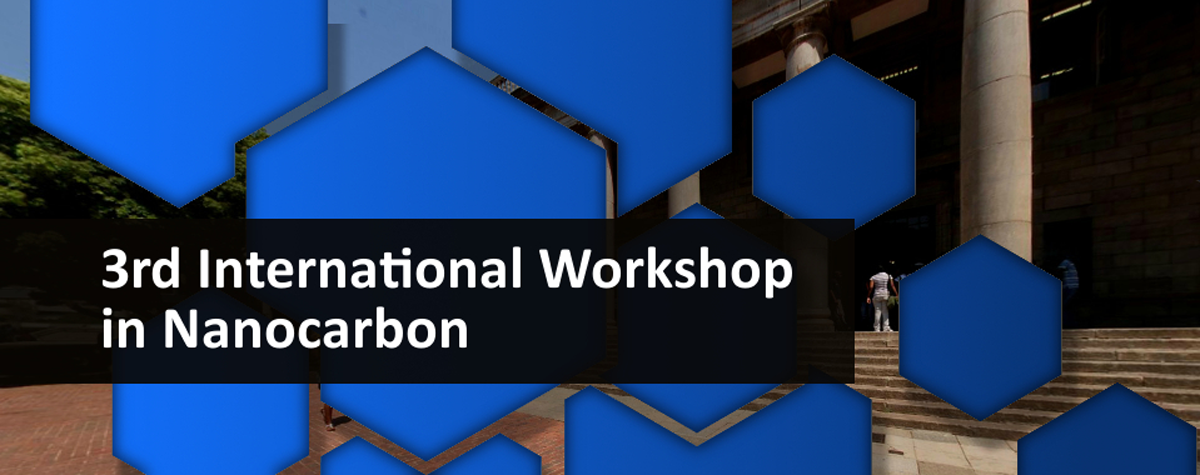 3rd Nanocarbon Workshop