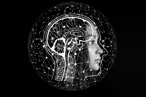 Graphic of human head transposed with network connections