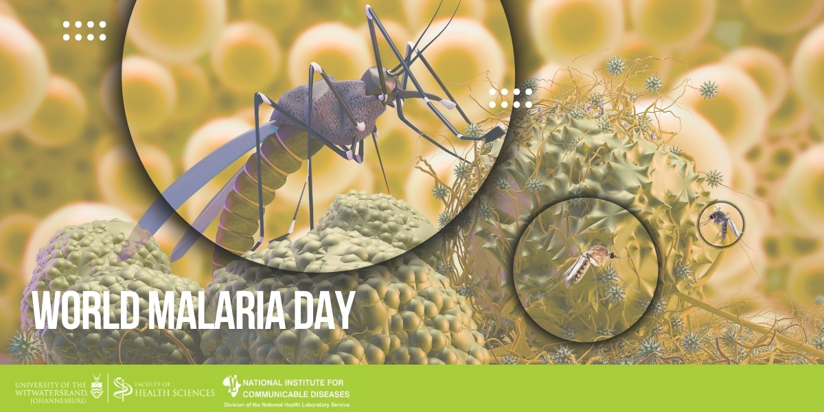 South Africa’s Scientific Fight Against Malaria