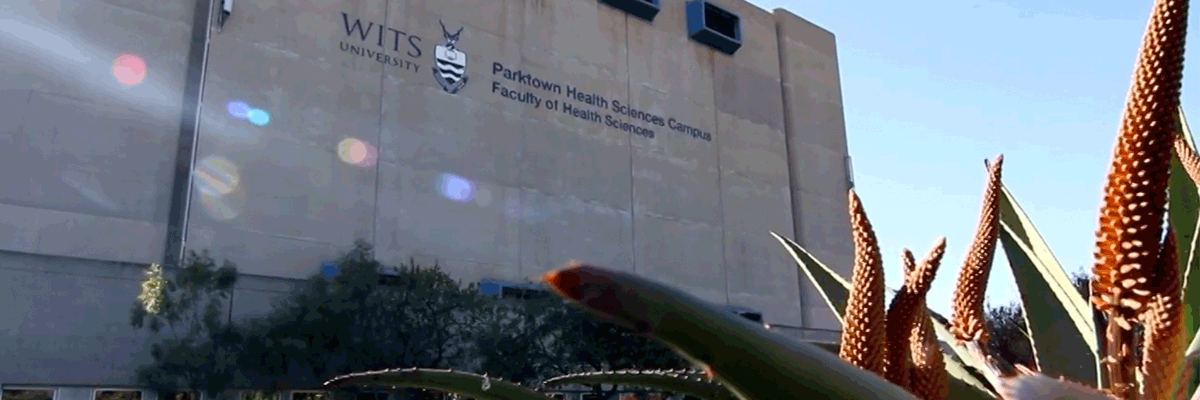 Parktown Health Sciences Campus - Health Sciences Faculty Parktown Health Sciences Campus - Health Sciences Faculty