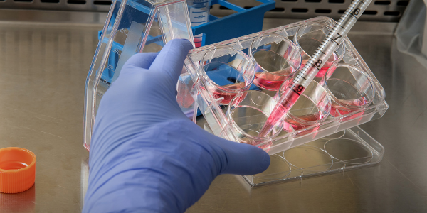 Pathology research