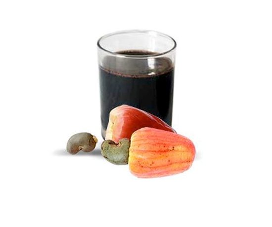 Professor Patrick Arbuthnot is interviewed on eNCA about cashew nutshell liquid vaccine compounds