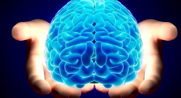 ISTN Brain ISTN Brain