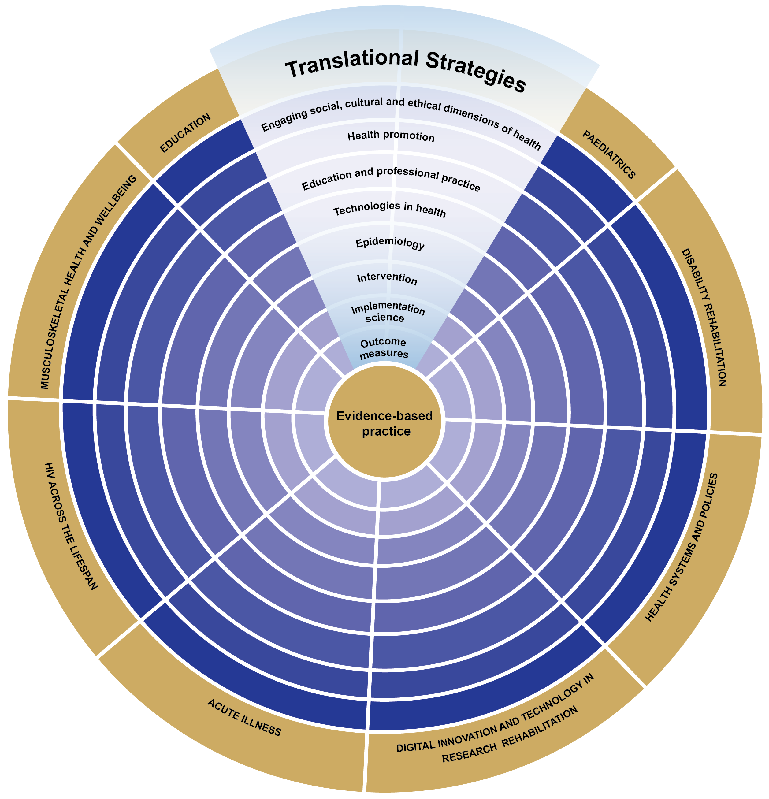 Physiotherapy Niche Areas