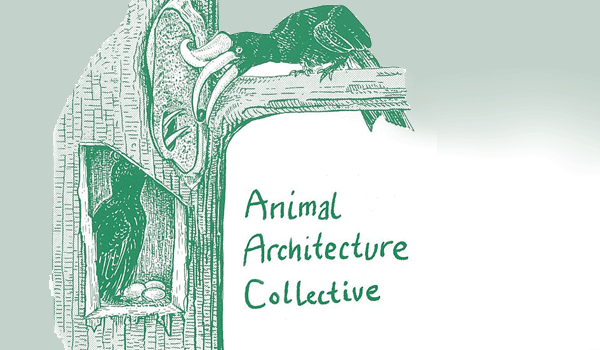 animal architecture collective logo