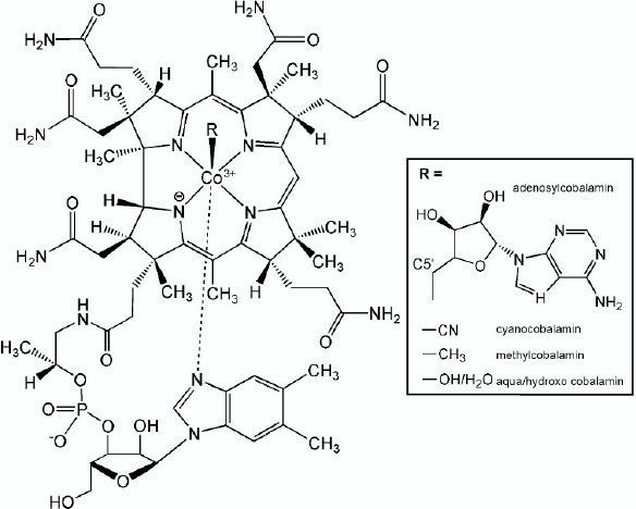 Inorganic Chemistry