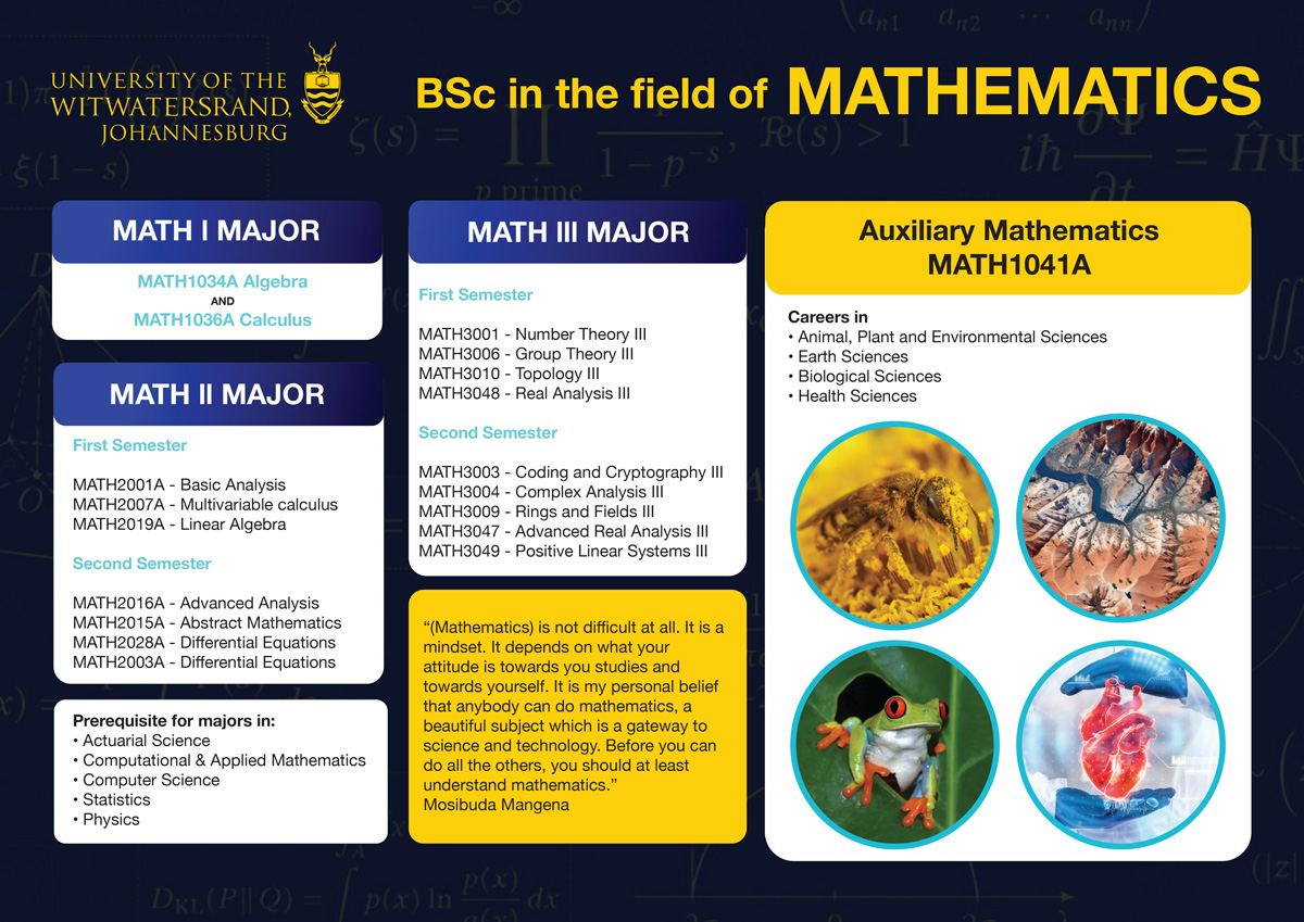 Diagram showing Maths Major courses