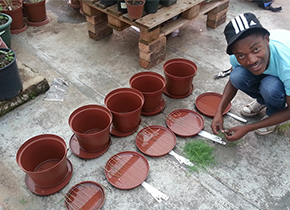 Sanele working in Insectary