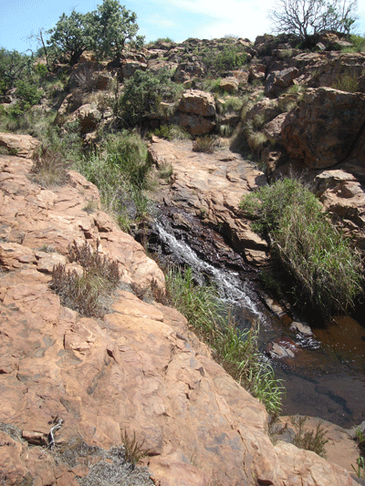 Stream in Gauteng