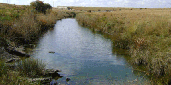 Stream in peri-urban Gauteng