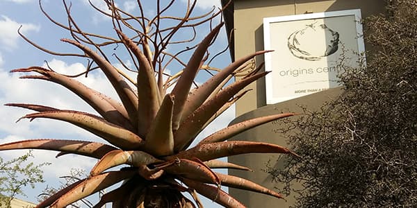 Outside Origins Centre building