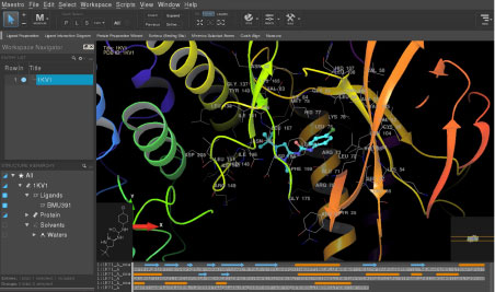 Molecular docking simulations and dynamics capabilities