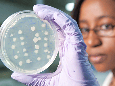 Student holding up petri dish