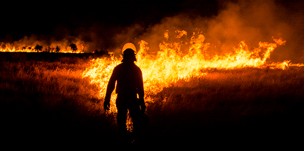 Working on Fire team managing a burn site in the Kruger National Park