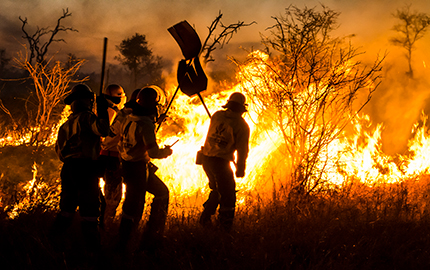 Working on Fire team managing a burn site in the Kruger National Park