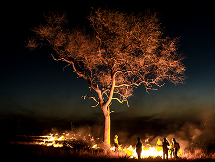 Working on Fire team managing a burn site in the Kruger National Park