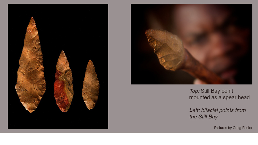 Technology developed by early humans in Still Bay and Howiesons Poort