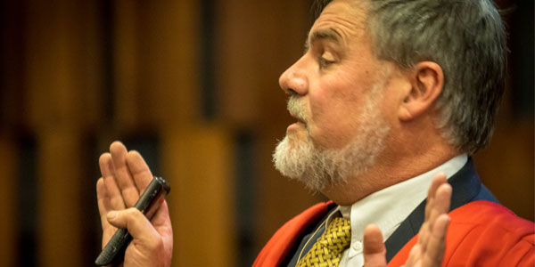 Distinguished Professor Bob Scholes