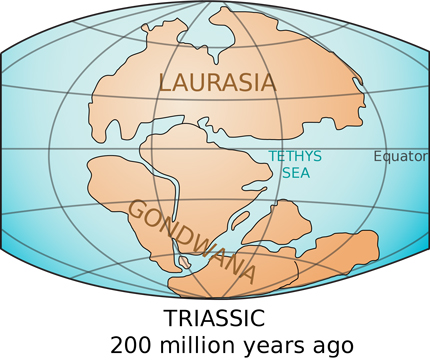 Gondwanaland in the Triassic