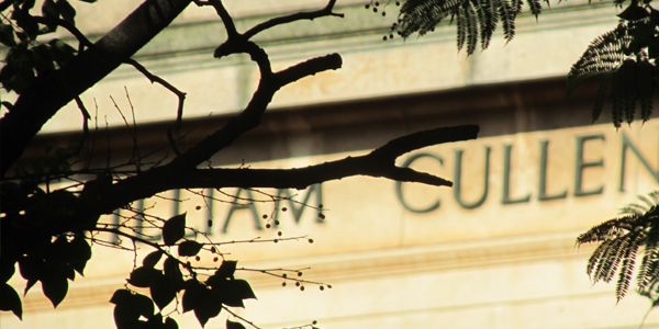 Cullen Library sign though trees