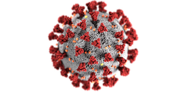 COVID-19, the coronavirus.