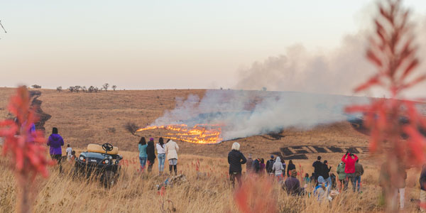 Managing African savana | Curiosity 15: #Energy © https://www.wits.ac.za/curiosity/