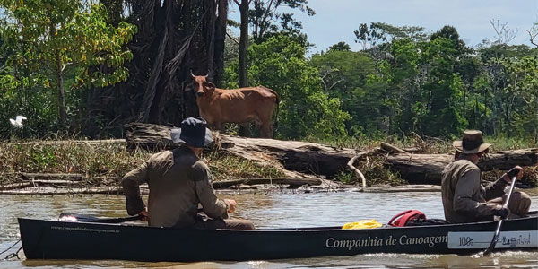 Wits accountants paddling the Amazon River | Curiosity 15: #Energy © https://www.wits.ac.za/curiosity/