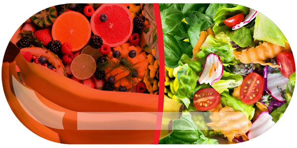 Feeding functional foods effectively. ©Lauren-Mulligan | www.wits.ac.za/curiosity/