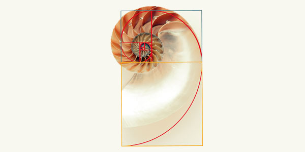 The Golden Ratio, also known as the Divine Proportion. | www.wits.ac.za/curiosity/ The Golden Ratio, also known as the Divine Proportion. | www.wits.ac.za/curiosity/