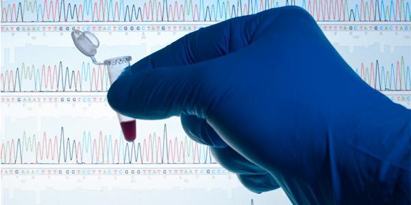 Wits scientists and peers have sequenced the genetic makeup of 24 South African individuals of different ethnolinguistic origins.