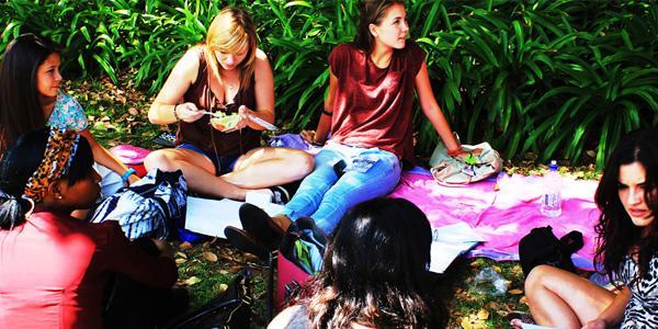 Students relaxing on the lawns Students relaxing on the lawns
