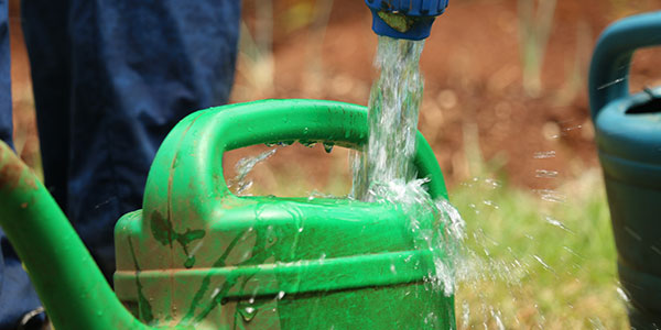 Water being poured into watering bucket