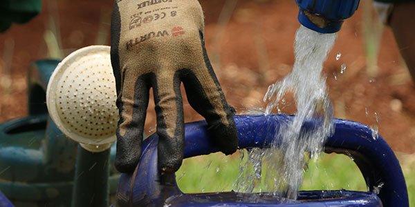 Water being poured into watering bucket